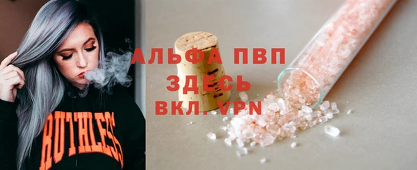 Альфа ПВП Верея