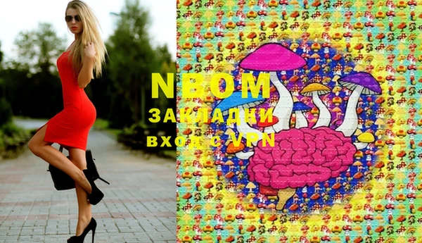 стафф Семикаракорск