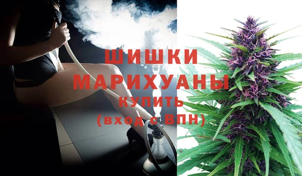 Альфа ПВП Верея