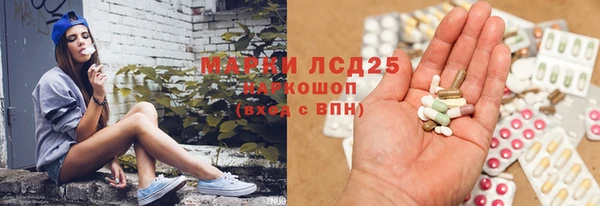 Альфа ПВП Верея